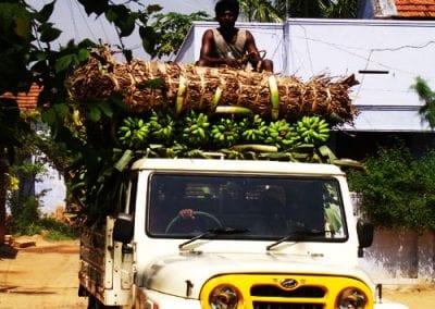Grail Trust UK Tamil Nadu