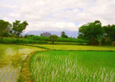 Grail Trust UK Tamil Nadu