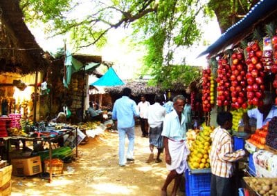 Grail Trust UK Tamil Nadu