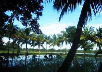 Grail Trust UK Tamil Nadu