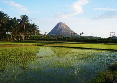 Grail Trust UK Tamil Nadu