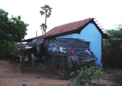 Grail Trust UK Tamil Nadu