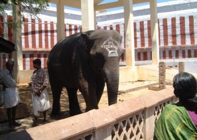 Grail Trust UK Tamil Nadu