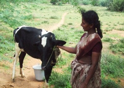 Grail Trust UK Tamil Nadu
